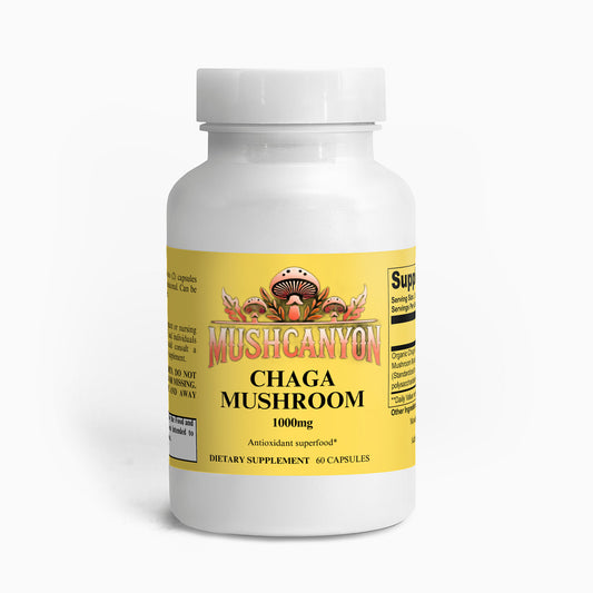 MushCanyon Chaga Mushroom