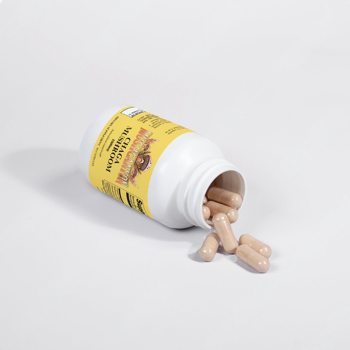 MushCanyon Chaga Mushroom