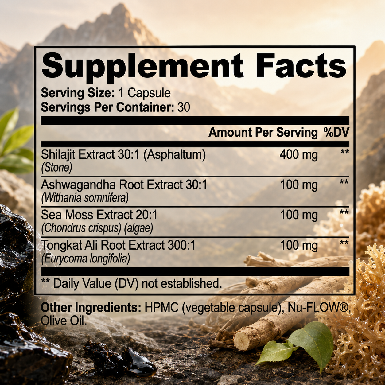 MushCanyon Shilajit Adaptogen Complex