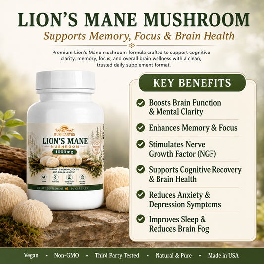 MushCanyon Lion’s Mane Mushroom (New look Same Formula)