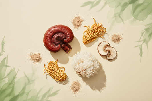 Best Mushroom Supplement 2026 (updated): Science-Based Guide to Quality and Effectiveness