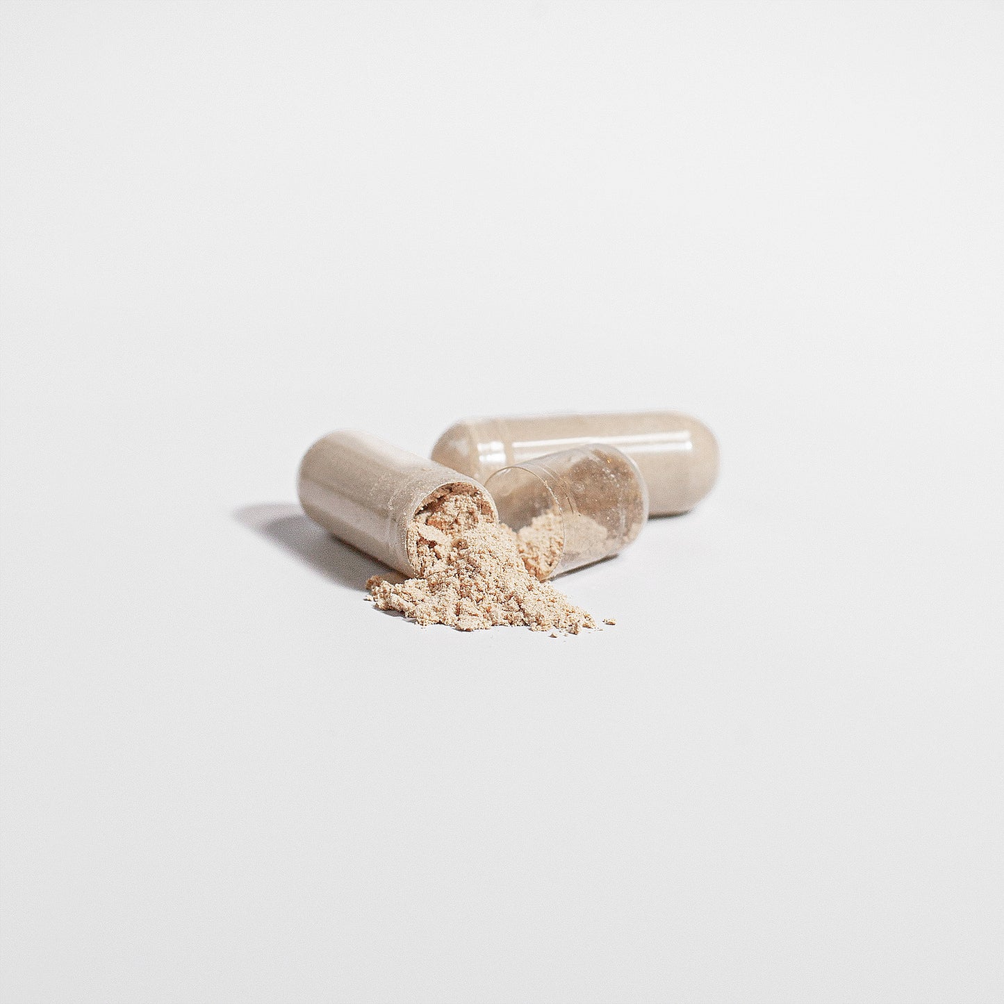 MushCanyon Chaga Mushroom (New look Same Formula)