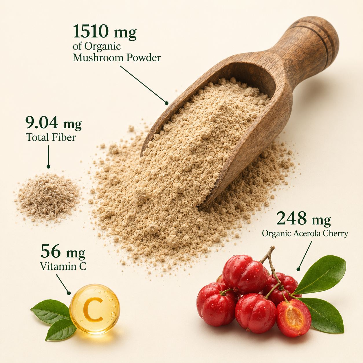 MushCanyon Fermented Mushroom Blend(New look Same Formula)