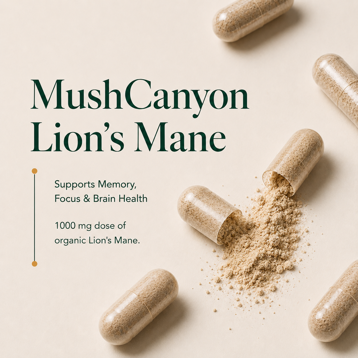 MushCanyon Lion’s Mane Mushroom (New look Same Formula)