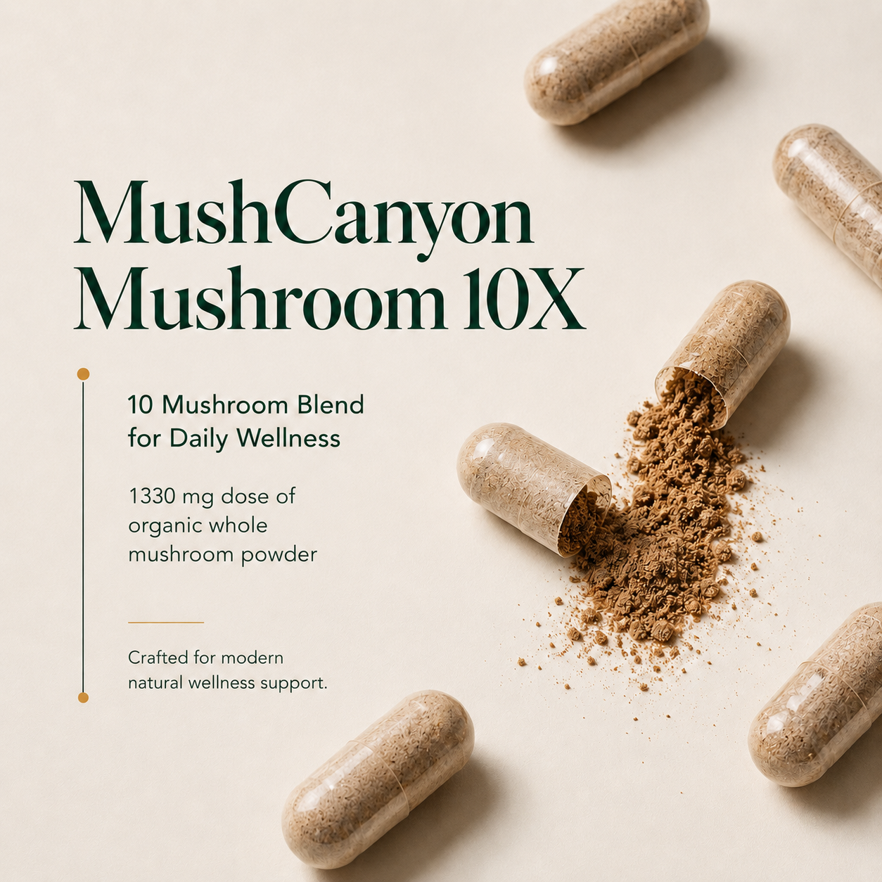 Mushcanyon 10X Mushroom(New look Same Formula)