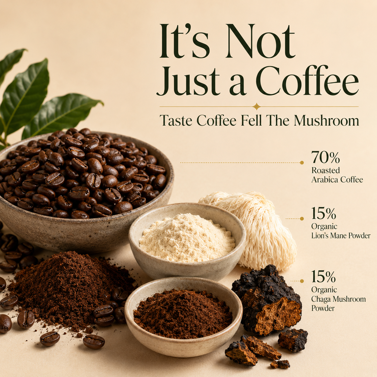 MushCanyon Mushroom Fuse Instant Coffee (Medium Roast)