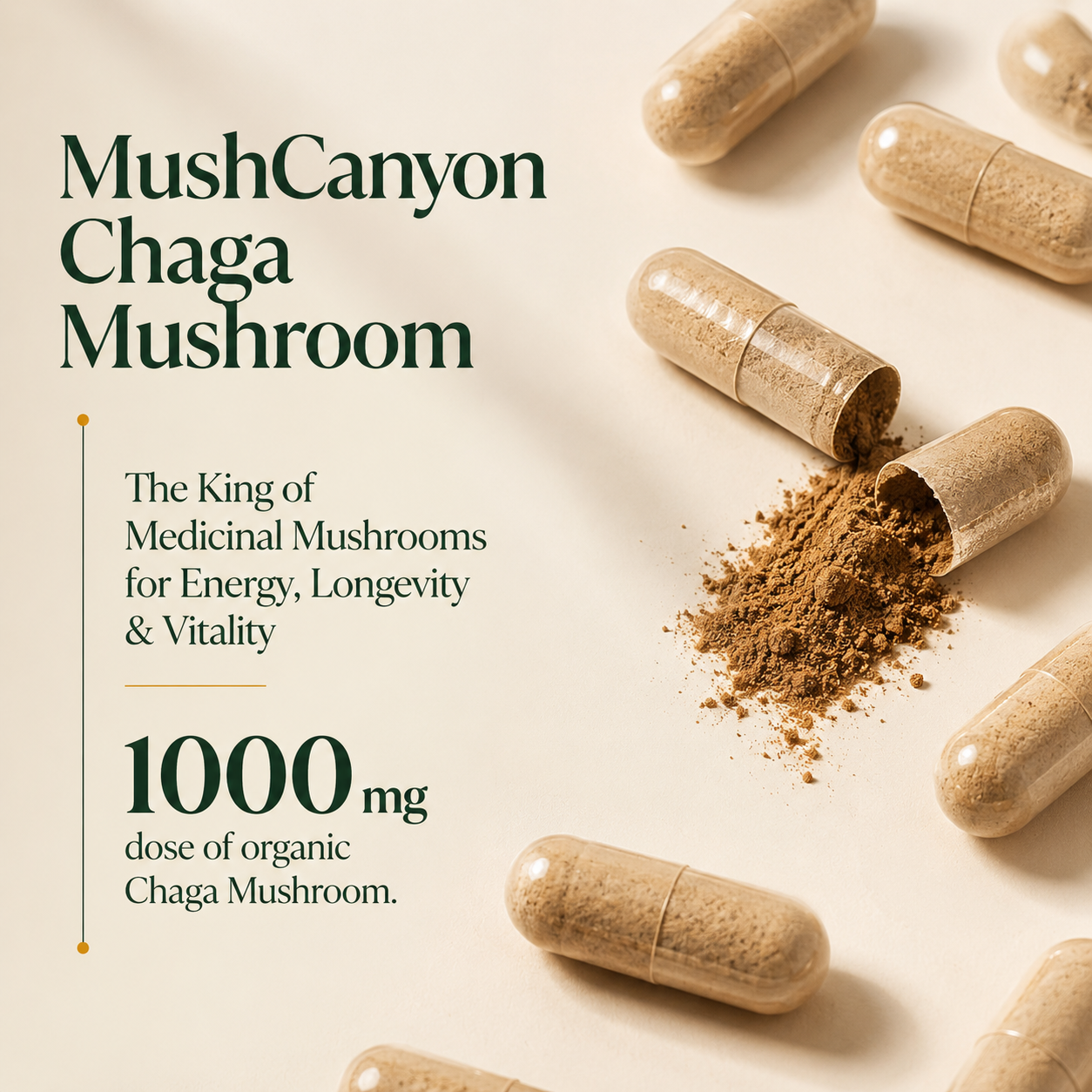 MushCanyon Chaga Mushroom (New look Same Formula)