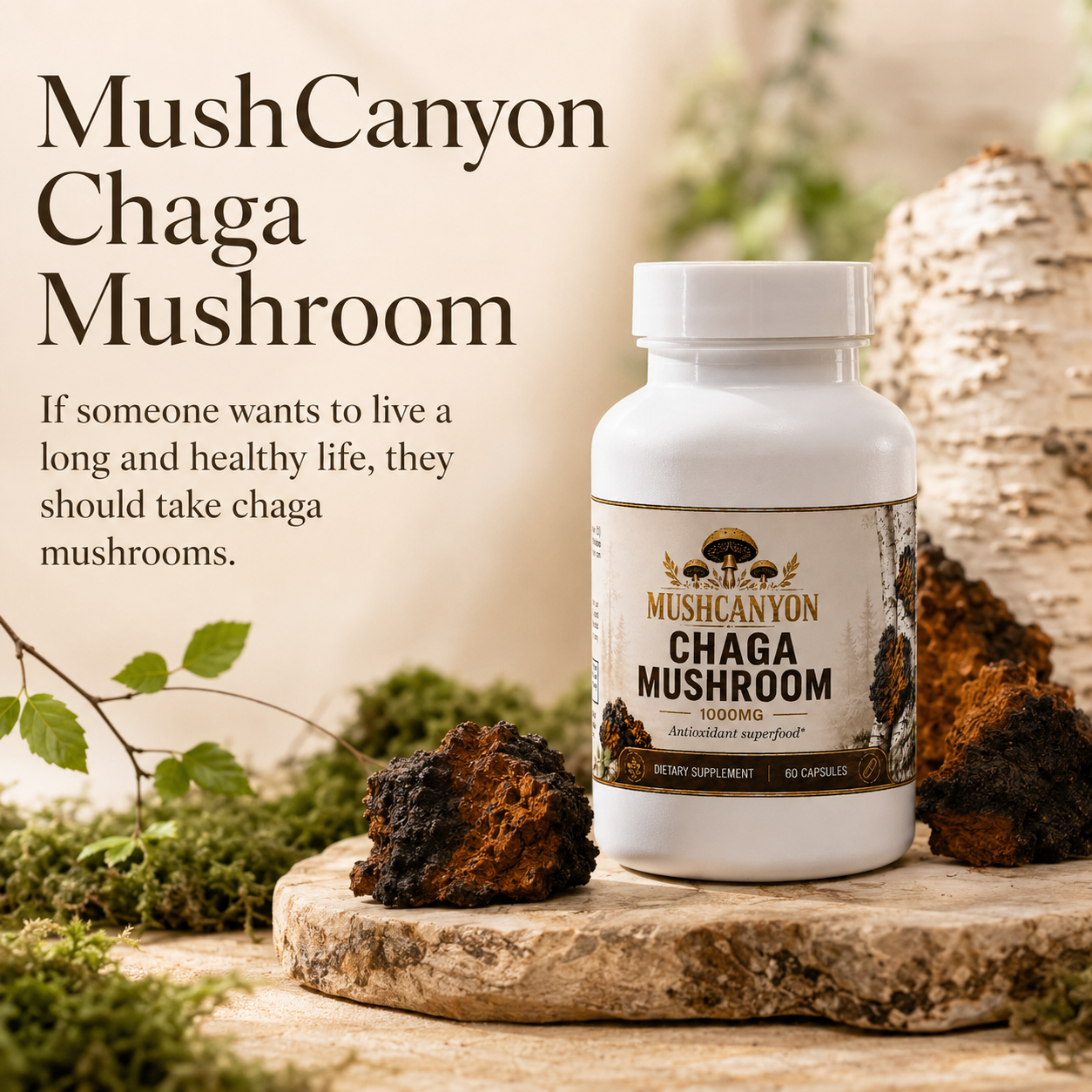 MushCanyon Chaga Mushroom (New look Same Formula)