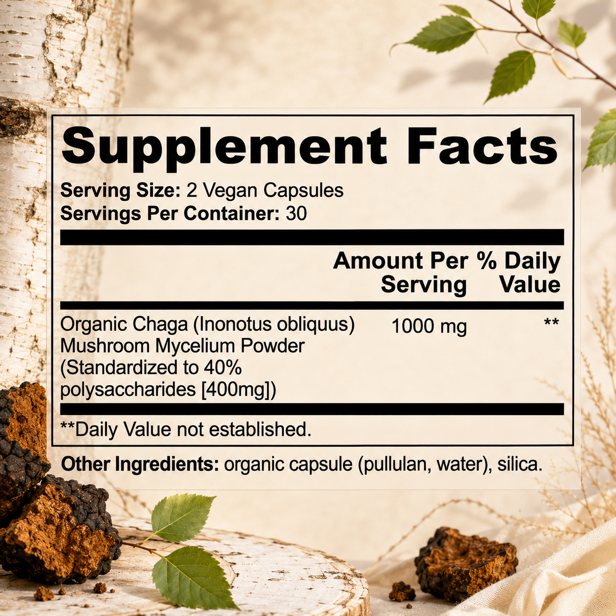 MushCanyon Chaga Mushroom (New look Same Formula)