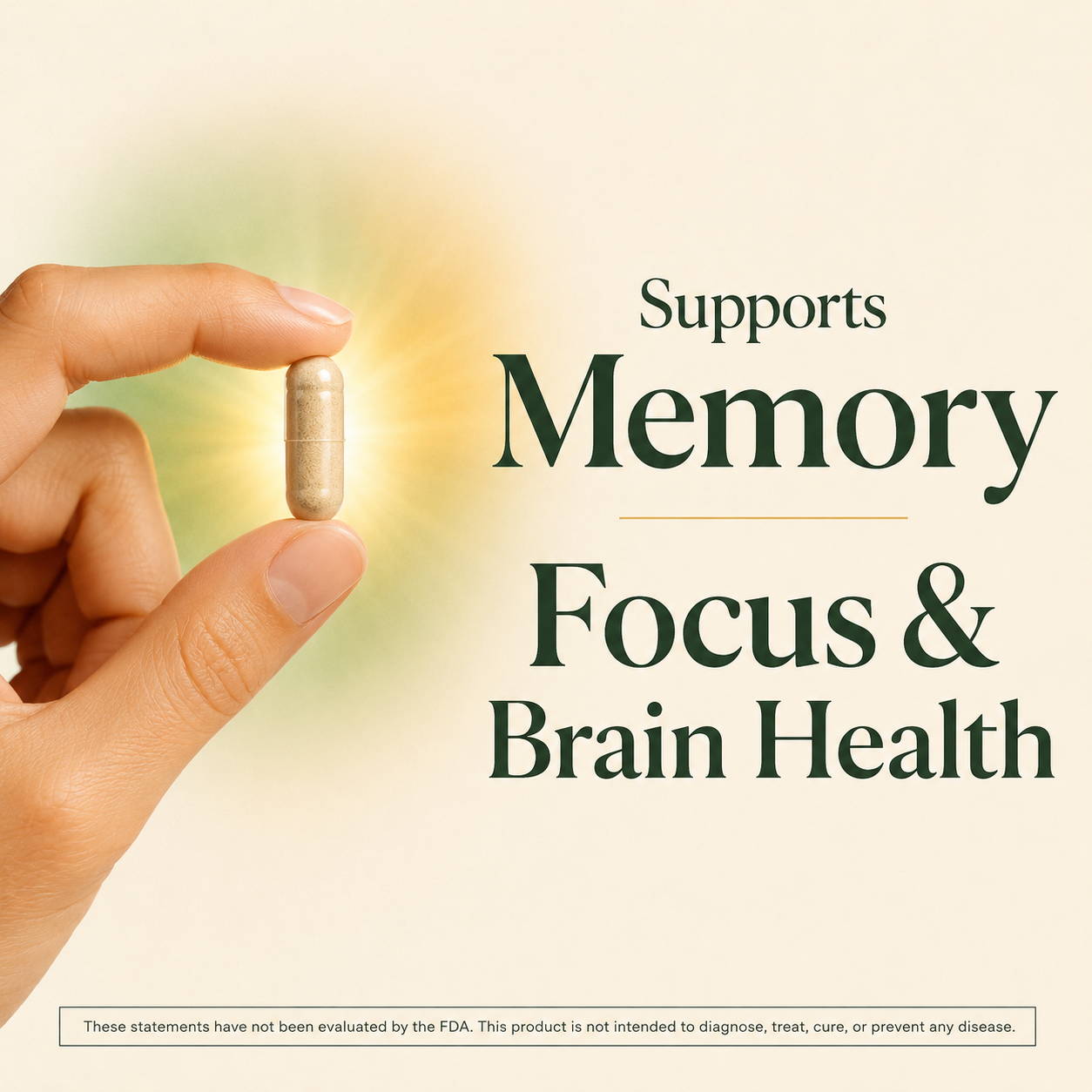 MushCanyon Lion’s Mane Mushroom (New look Same Formula)