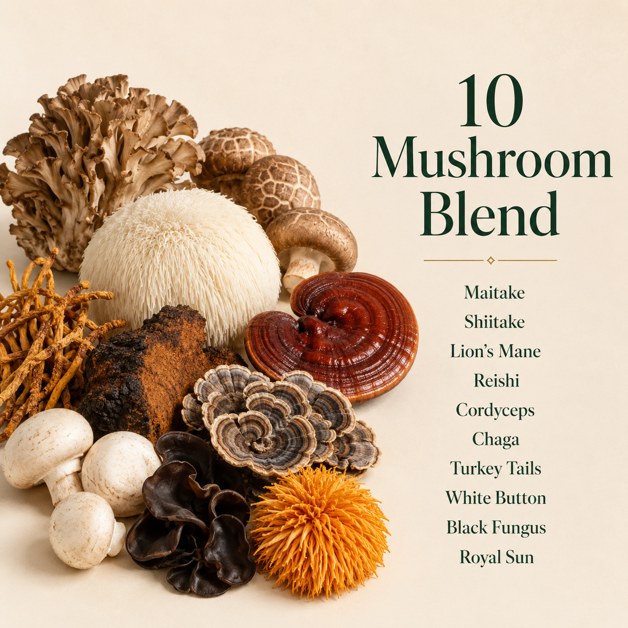 Mushcanyon Mushroom Gummies (New look Same Formula)