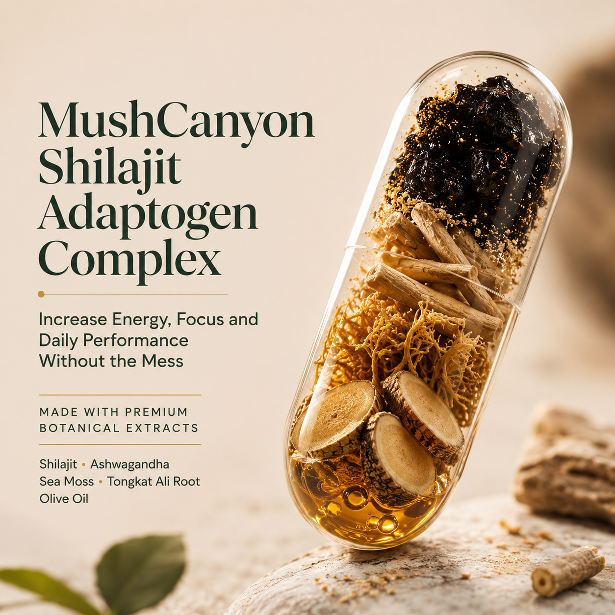 MushCanyon Shilajit Adaptogen Complex