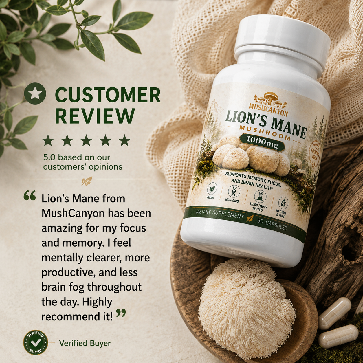 MushCanyon Lion’s Mane Mushroom (New look Same Formula)