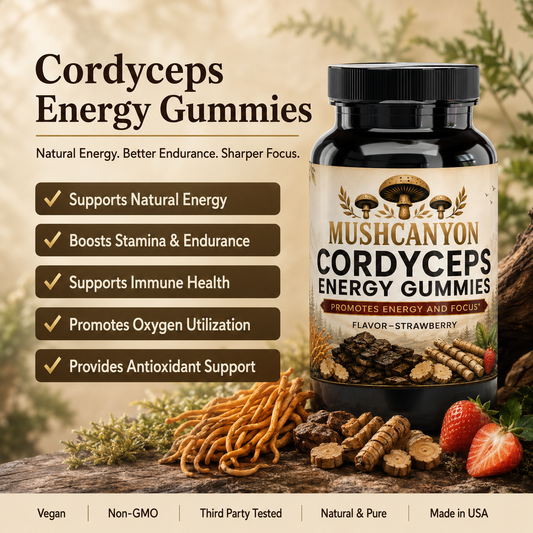 MushCanyon Cordyceps Energy Gummies